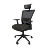 Ergonomic Mesh Chair